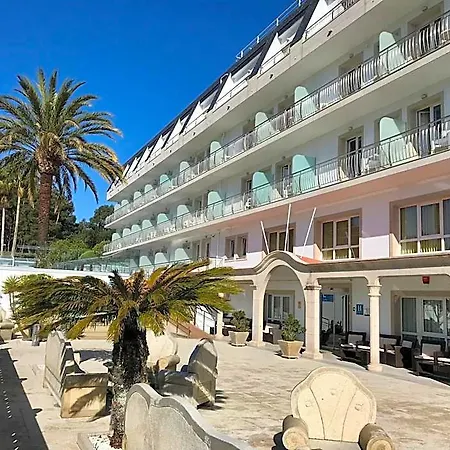 Hotel Nuevo Vichona 3 Estrellas Superior
